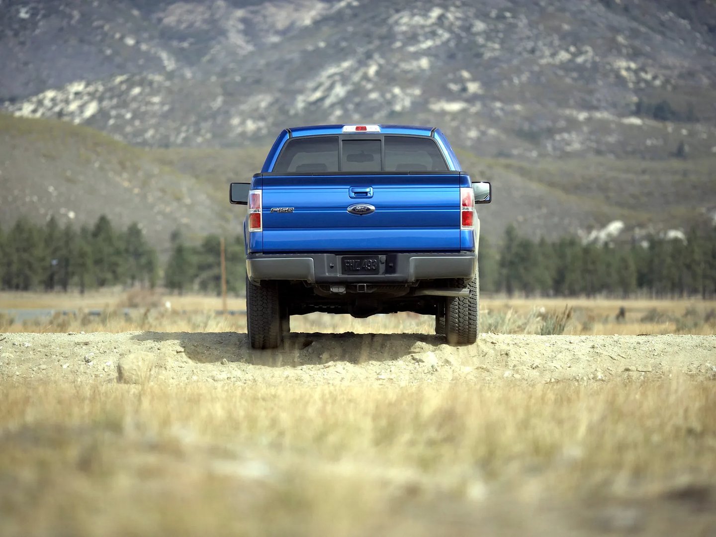Ford_F-150_12_generation__Pickup_1.5-cab__5.jpg