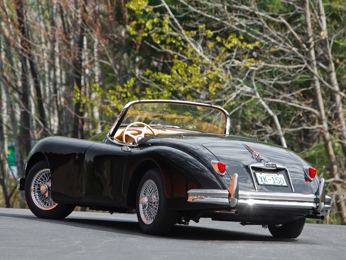 Jaguar_XK_Raritet_3_generation__Roadster__5.jpg