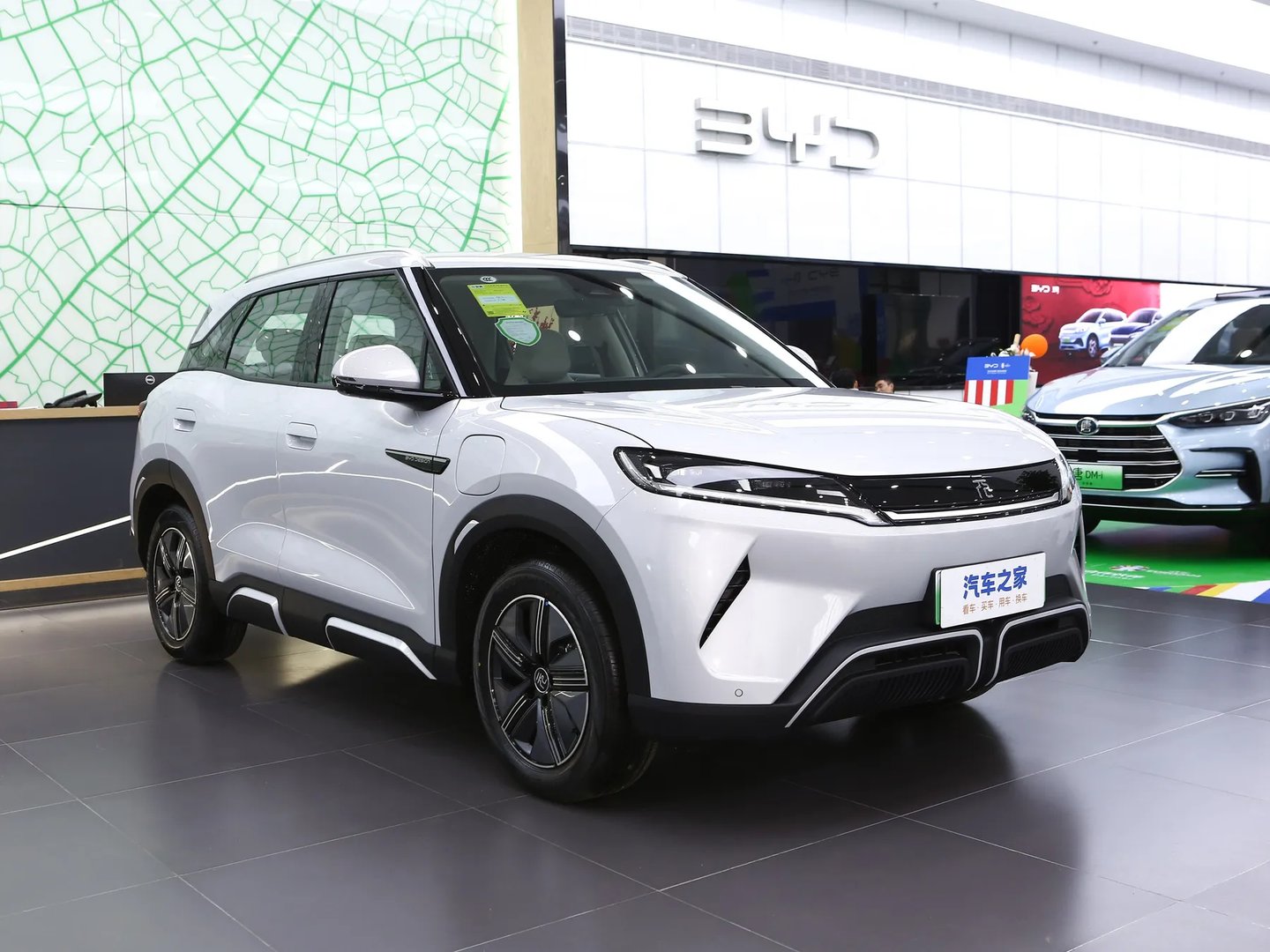byd_Atto_2_1_generation__SUV_5-doors__6.jpg