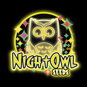 Bundle Four *The Banner Crosses*