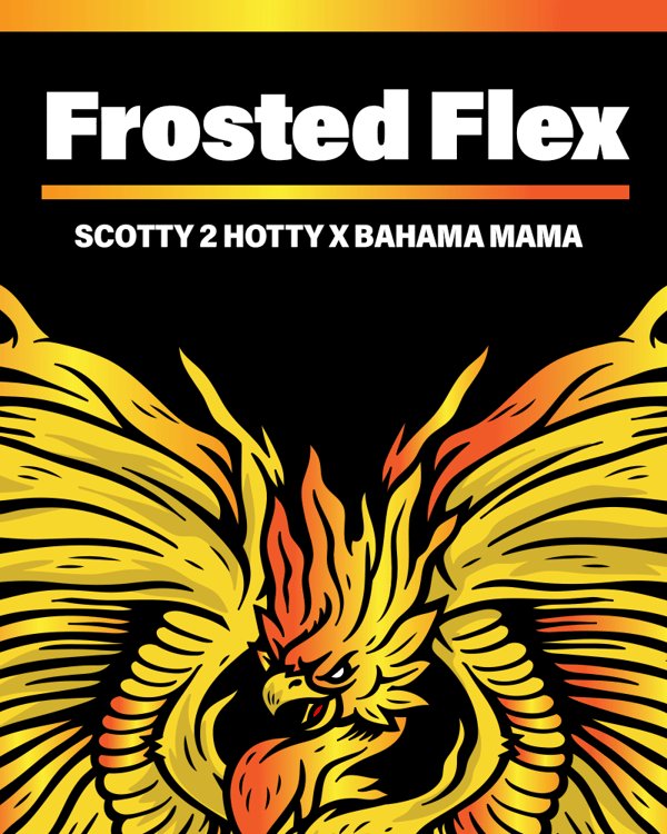 Frosted Flex