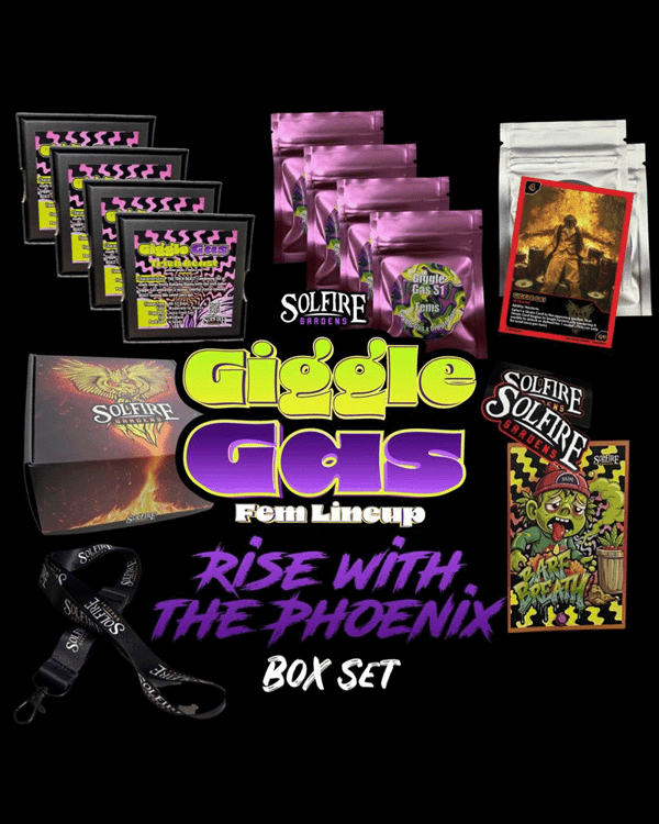 Giggle Gas Box Set