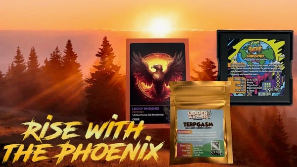 Rise with the Phoenix