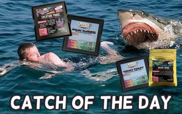 Catch of the Day