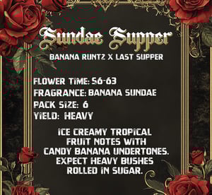 SundaeSupperBack-1