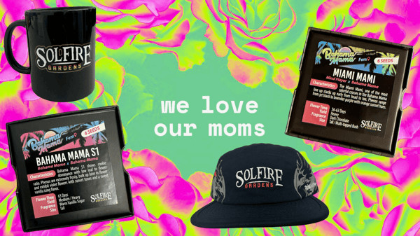 We Love Our Moms