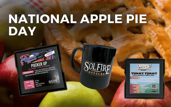 National Apple Pie Day