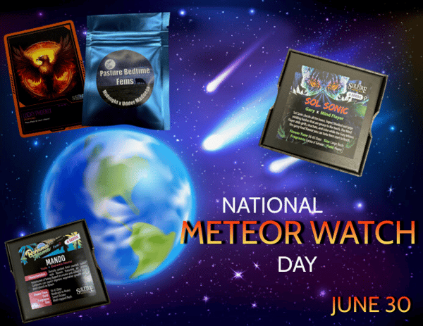 National Meteor Watch Day