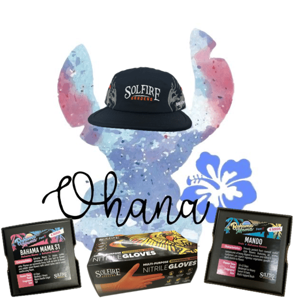 Ohana
