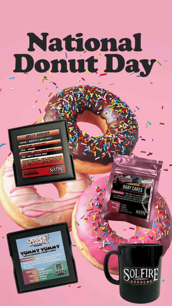 Donut Day