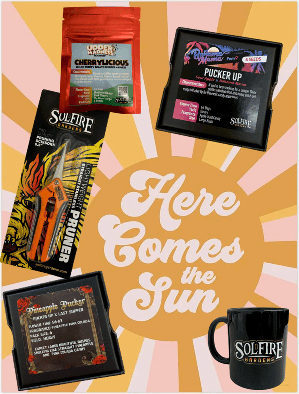 Here Comes The Sun