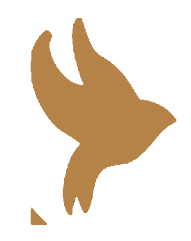 ohsosubtle logo