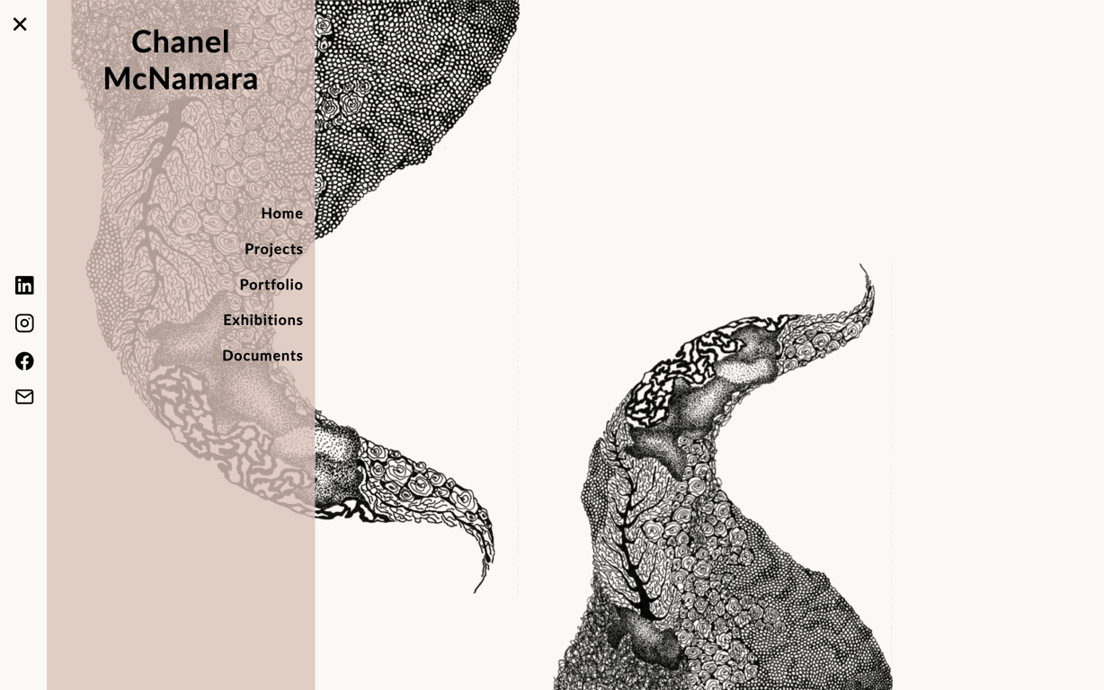 Website Project Image