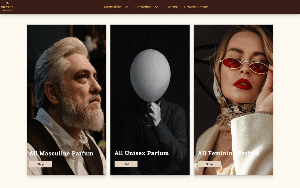 Website Project Image