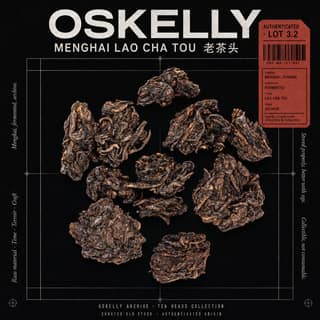 Архивный лукбук · 老茶头