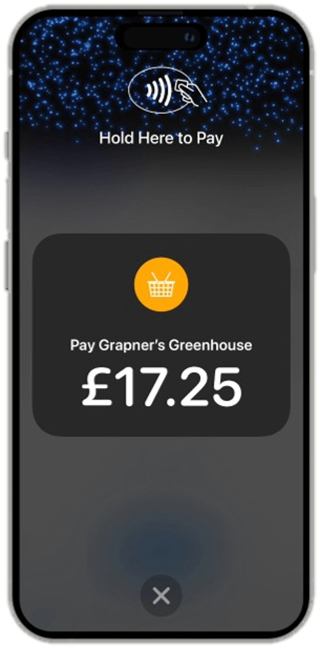 Tap to Pay for iPhone screenshot