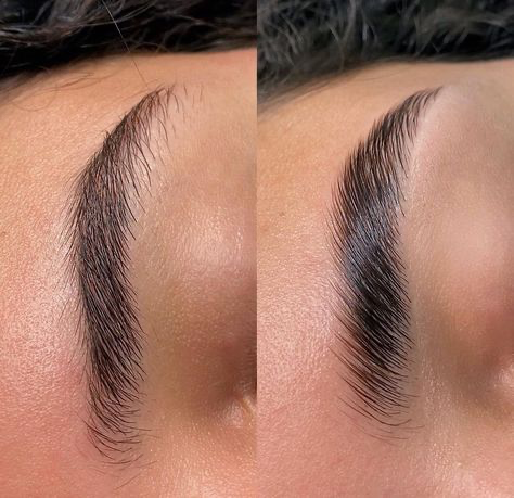 Brow Lamination por Carol de Jesus
