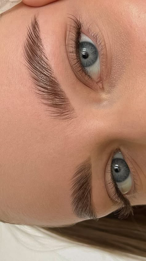 Brow Lamination por Luana Parra