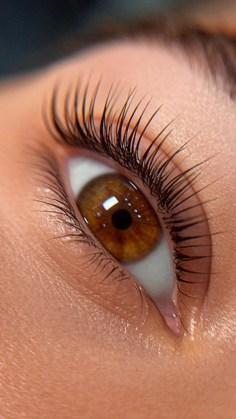 Trabalho de Larissa Reis, Brow Lamination e Lash Lifting em Rio de Janeiro – RJ