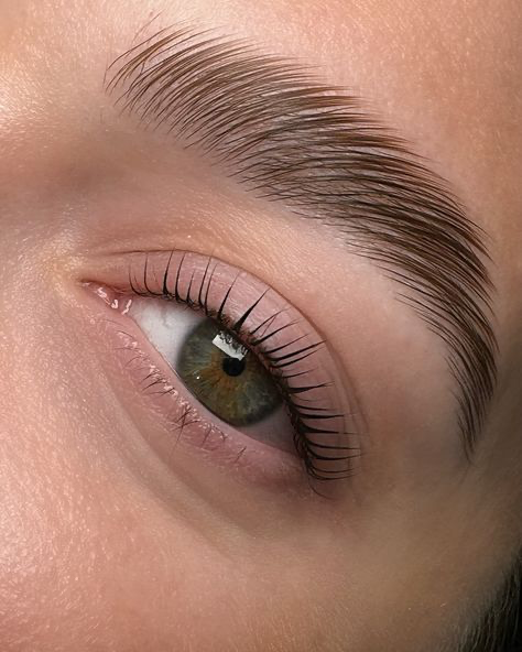 Trabalho de Amanda Souza, Brow Lamination em São Paulo – SP
