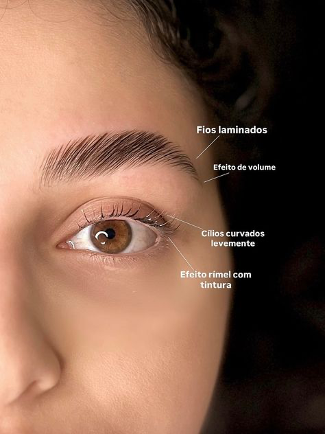 Brow Lamination por Jessica Onozolon