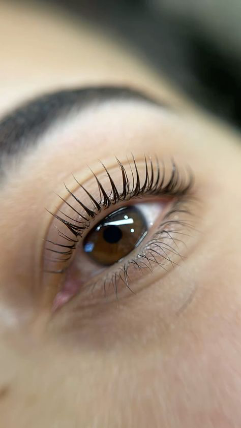 Lash Lifting por Lana Silva