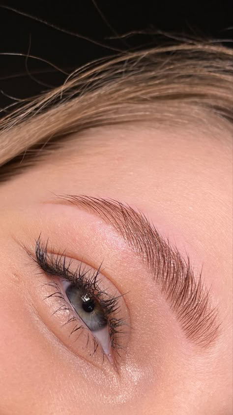 Lash Lifting por Lana Silva