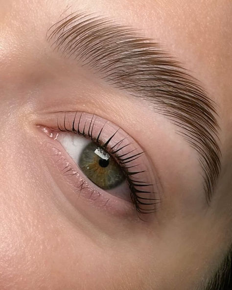 Brow Lamination por Ana Beauty