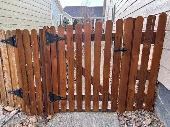 This is an image from Neighborly Fence Staining, LLC company, located in Arvada, CO The image is a freshly stained wooden picket fence gate with black metal hinges and latch, positioned between two residential homes, completed by Neighborly Fence Staining