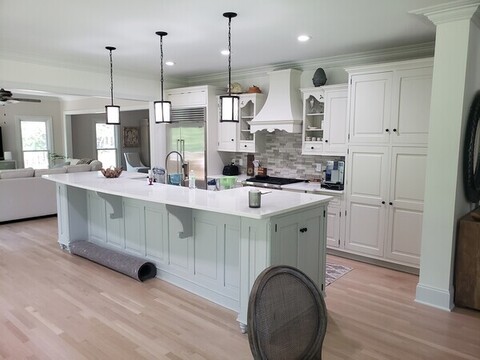 Photo of a Anthony Meggs Painting kitchen project.