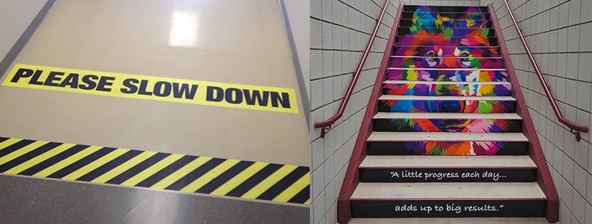 two images showcasing safety vinyl floor graphics and also stair riser graphics featuring a colorful wolf head.