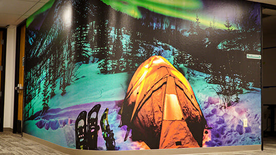 A large curved interior wall covered with full-color wall art.