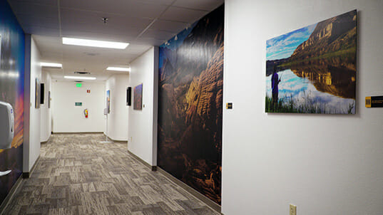 Hallway with large full-color wall art on both sides.