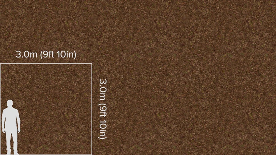 Textura de detritos espessos e ervas daninhas na floresta