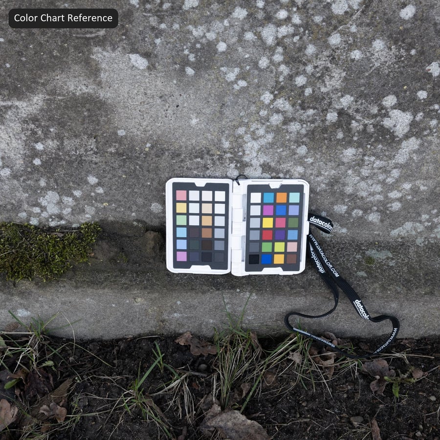 Texture murale en plâtre vieilli