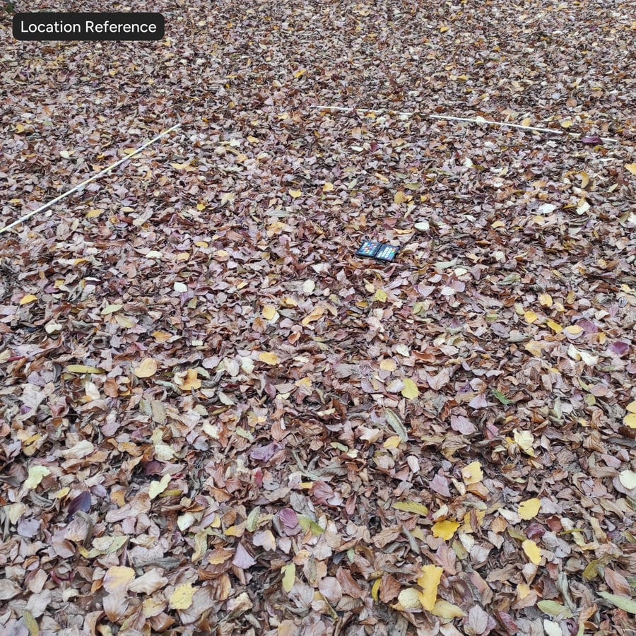 秋天森林樹葉在地面上的紋理