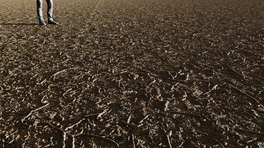 Forest Stick Debris Ground Texture