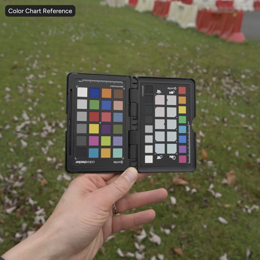 Texture des feuilles tombées sur le sol