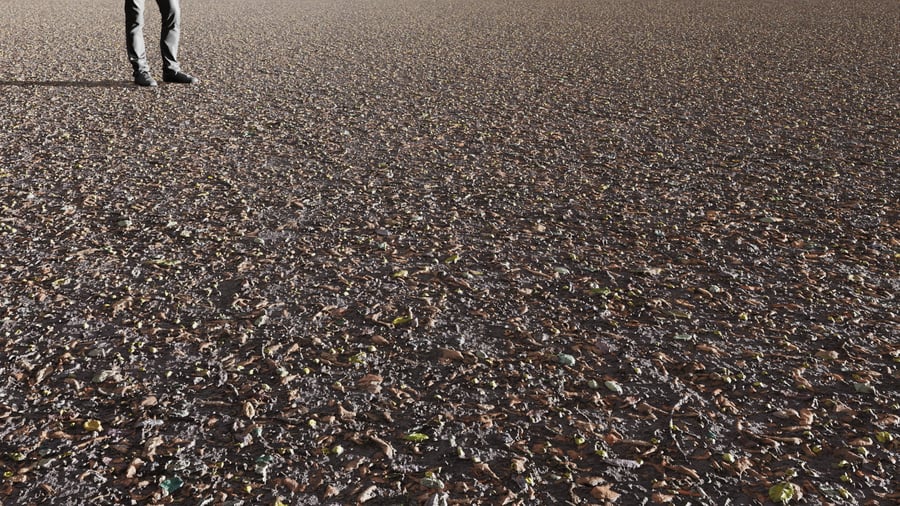 Mud & Leaves Ground Texture, Dark Brown