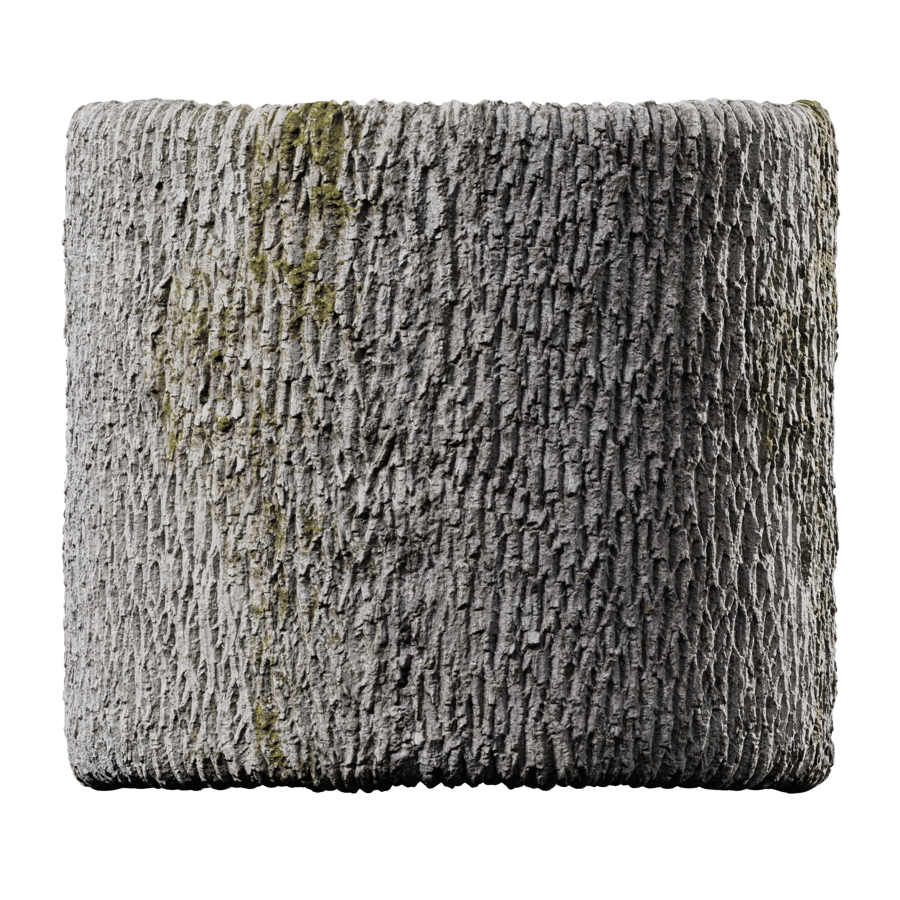 Mossy Deciduous Bark Texture, Grey