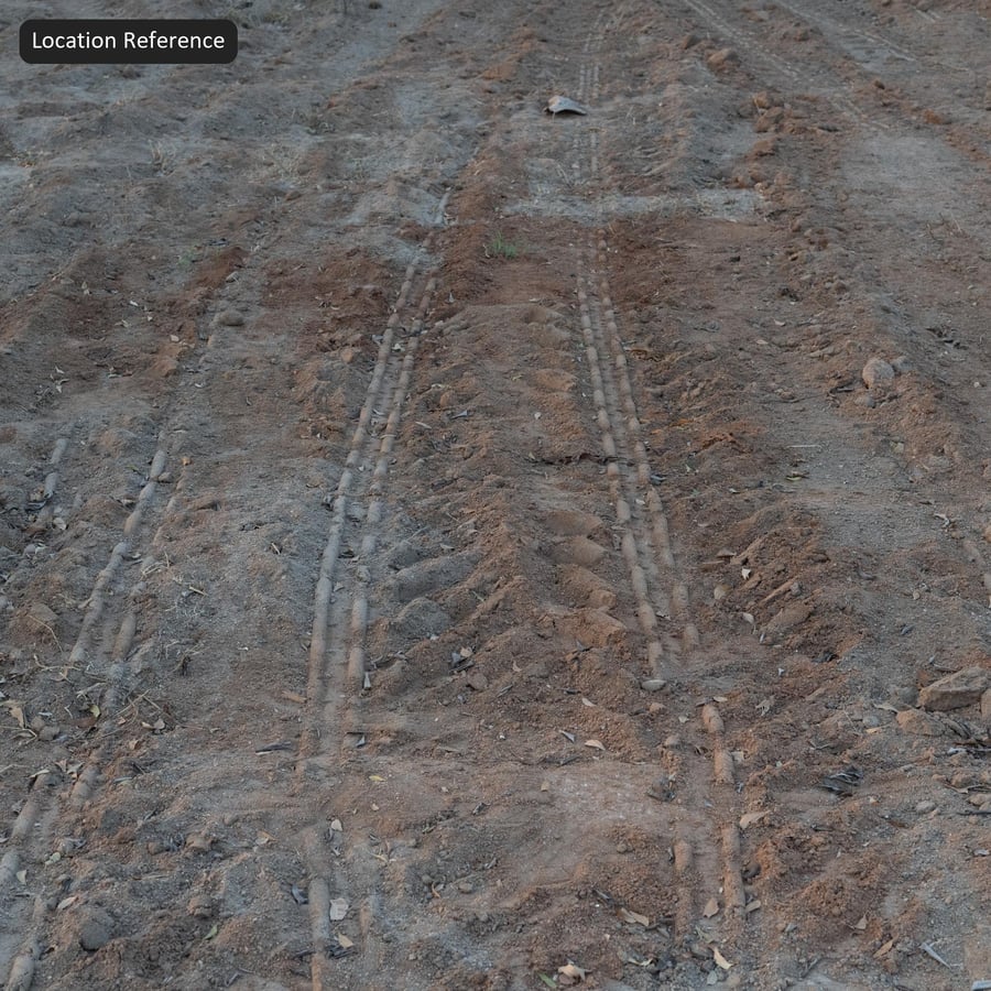 Muddy Tire Track on Dirt Road Texture, Brown
