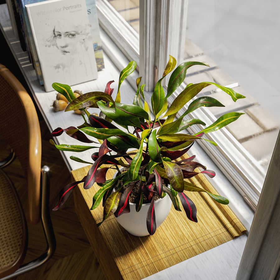 Mammy Croton Plant Potted Plant Model