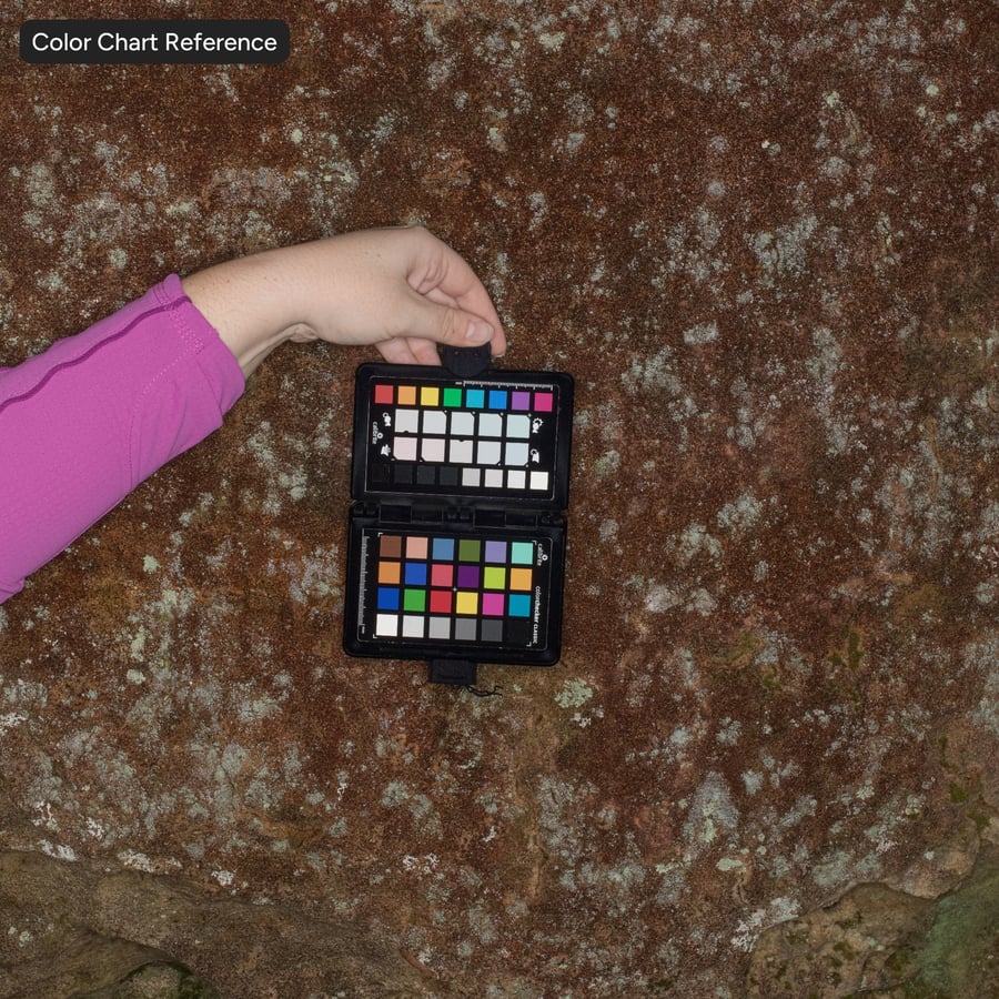 이끼로 뒤덮인 절벽 바위 텍스처, 갈색