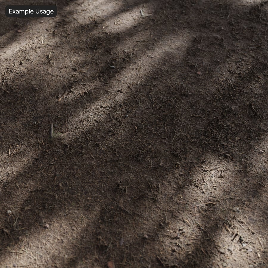 Lá thông khô trên kết cấu nền rừng