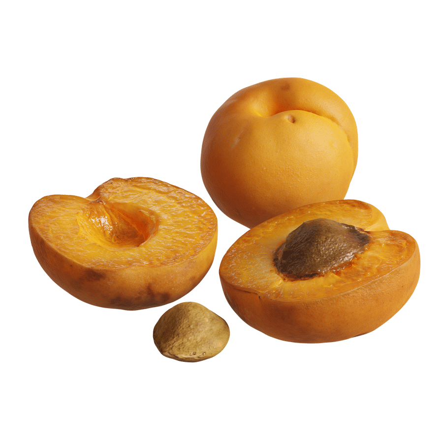 Apricot Models