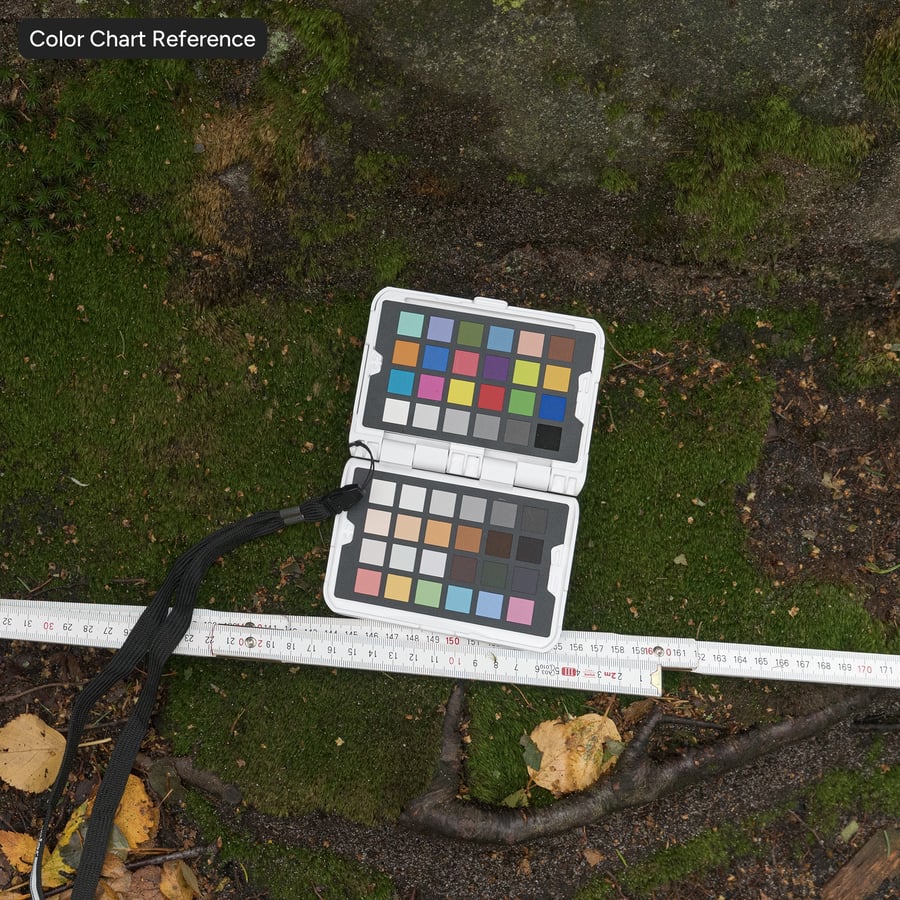 Roccia scoscesa ricoperta di muschio liscio, marrone