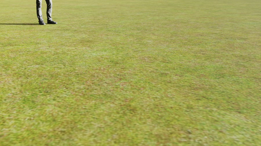 Patchy Grassy Field Texture