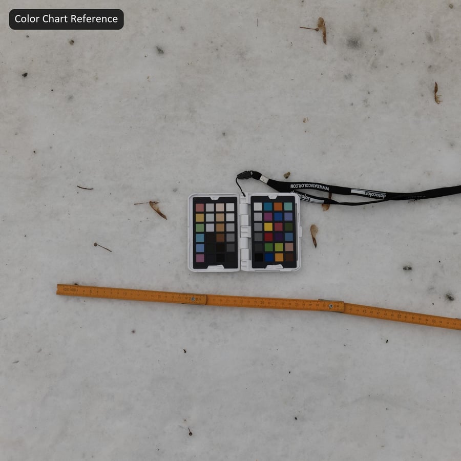 Текстура следов на грязном снегу