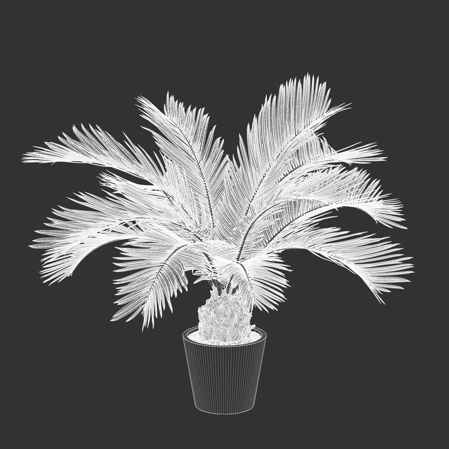 Sago Palm Potted Plant Model