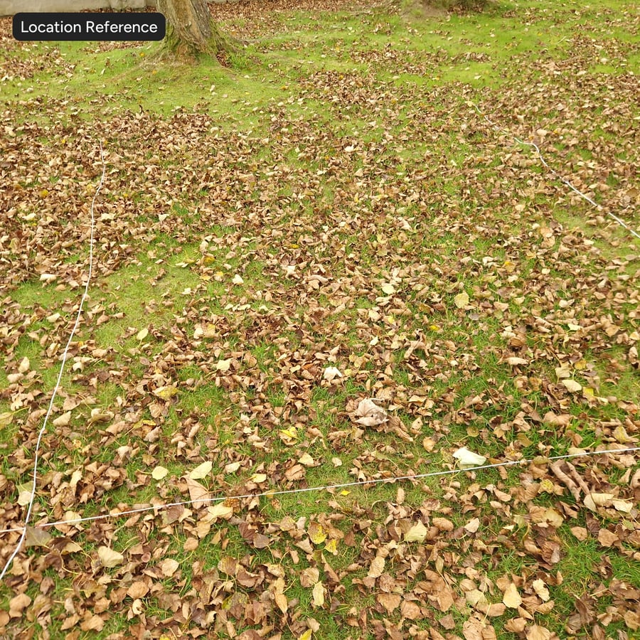 Çim Zemin Dokusu Üzerinde Yapraklar